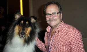 Screen Time: 'Lassie' star Jon Provost to appear at cannabis convention